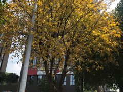 -水月·和牛工坊(水晶郦城店)