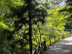 -三千院
