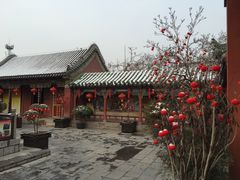 景点-延庆观