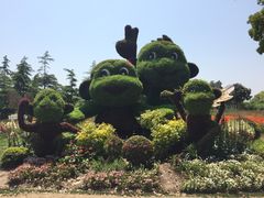 -上海鲜花港
