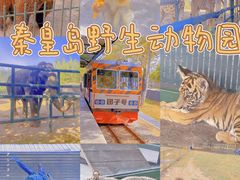 -秦皇岛野生动物园