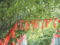 -大伊山景区