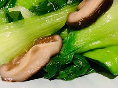 香菇青菜-苏堂阳春面•九年庆(北京路天河城店)