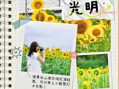 -光明小镇欢乐田园