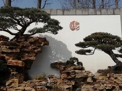 盆景园-上海植物园
