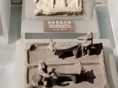 -中国农业博物馆
