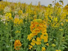 -中国天府农业博览园