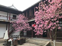 -苏州文旅花间堂·探花府酒店