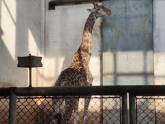 -石家庄市动物园