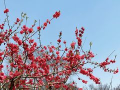 -上海方塔园