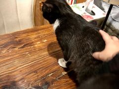 -么么咖啡(燕郊店)