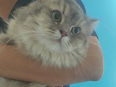 -瑞派福兴宠物医院犬猫全科·骨科·中西医结合(河东店)