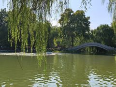 -西安市长乐公园