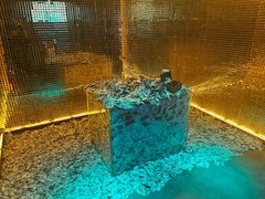-bb boom运动闯关密室·聚会团建·家庭亲子(龙湖西溪天街店)
