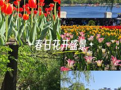 -北陵公园
