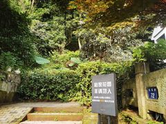 -灵隐飞来峰景区