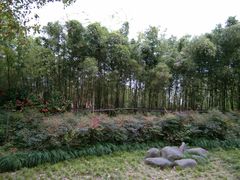 -新江湾城公园