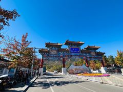 -北京西山国家森林公园