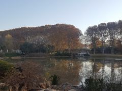 -河南省黄河迎宾馆