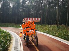 -铁山坪森林公园