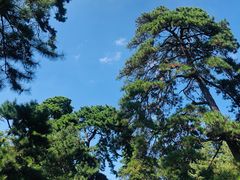-沈阳市东陵公园