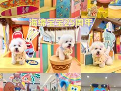 -海港城
