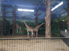 -鄂尔多斯野生动物园