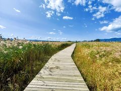 -野鸭湖国家湿地公园