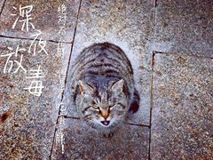 -北宫国家森林公园