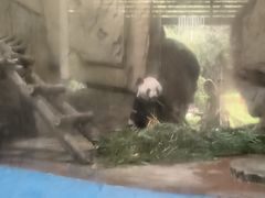 -成都动物园