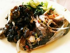 -喀纳斯鸿福生态度假酒店