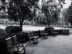 -东风公园