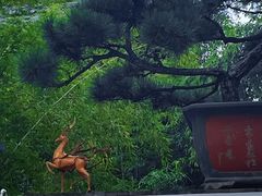 -龙华寺
