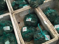 -众彩物流水产市场