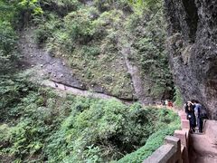-青城山