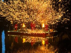 -美的鹭湖森林度假区