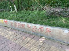-黄桷坪涂鸦艺术街
