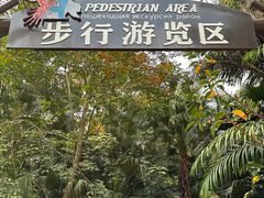 -海南热带野生动植物园
