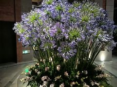 -浅深Cheersum(曹杨店)