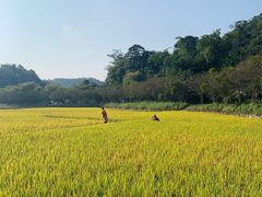-红山村