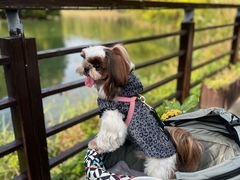 -阳澄湖费尔蒙酒店颐丰阁中餐厅(马鞍山西路店)