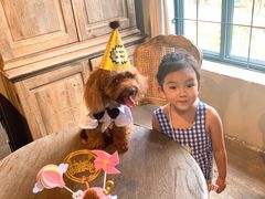 -可可露咖啡店(大东店)