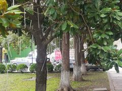 -半岛1919创意园区