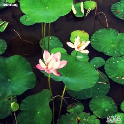 -大望京儿童游乐场