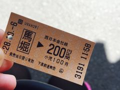 -岚山猴子公园