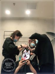 -崇尚GAVIN STYLE