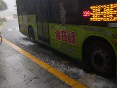 -深圳市人才园(深南大道店)