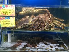 -蚝专家(北滘店)
