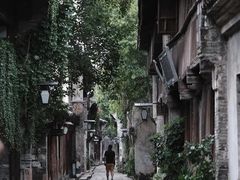-乌镇景区