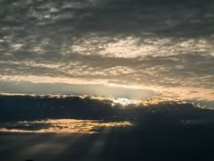 -阿军排档·烧烤